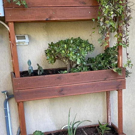 La Casa Di Telen Zona Policlinico Oncologico E De Grecis Bari